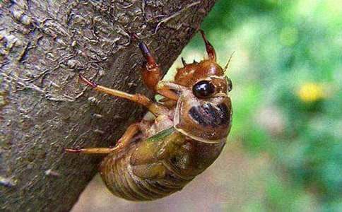 ��������600�֣�֪�˽���