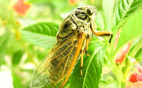 �P��֪������600�ְ�ƪ