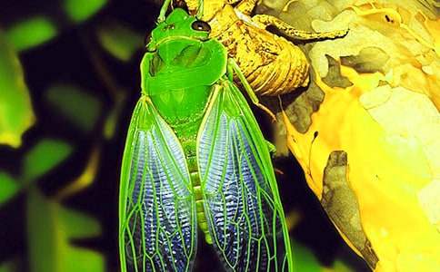 ץ֪�˵�С�W����