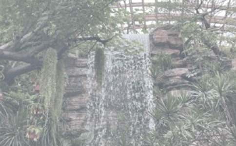 游華南植物園作文600字范文