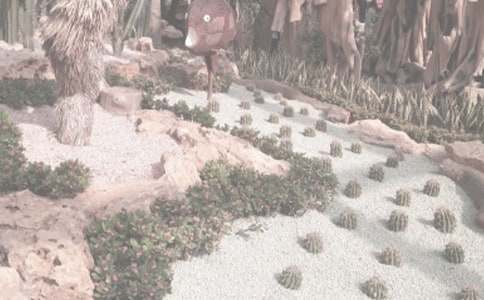 春游植物園作文集錦15篇