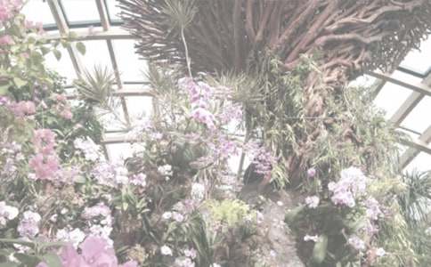 ��ʡɭ��ֲ��@һ���Ρ�С�W�������ģ�ͨ��45ƪ��