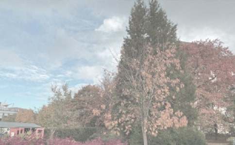 С�W���ģ��ɺ�ֲ��@