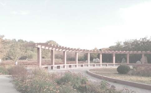 ֲ��@��ӛ���ģ�ͨ��24ƪ��