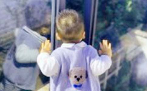 我的侄子九年級作文400字(精選44篇)