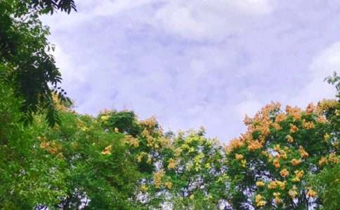 快樂的中午作文200字