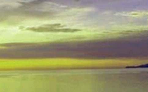 ���������600��3ƪ