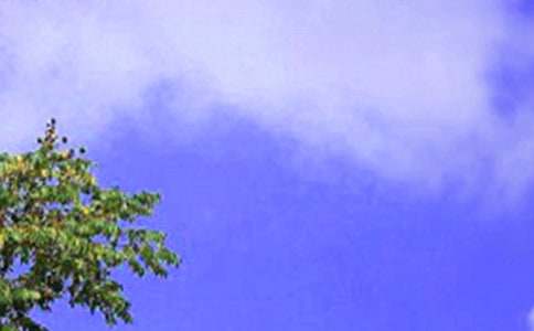 【精品】中午作文300字3篇