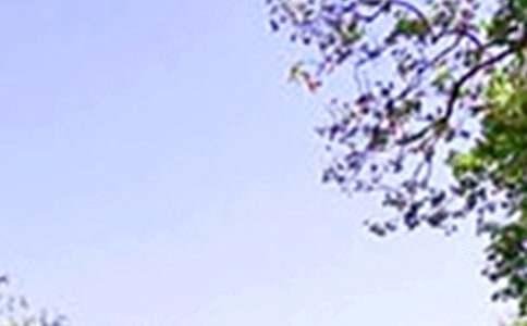 中午作文600字四篇