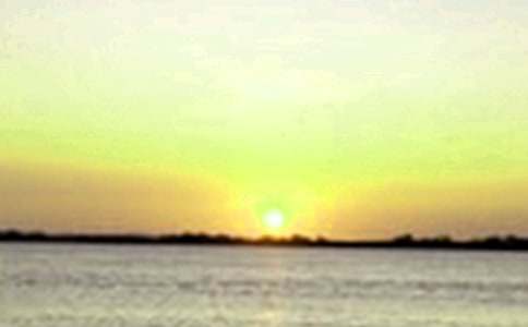 夏天的中午作文700字