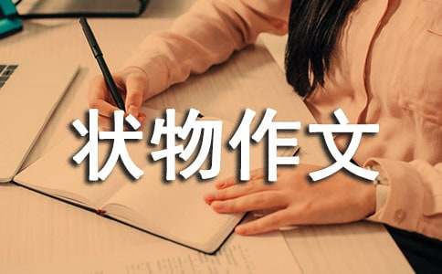 ������ɫ��500��_���꼉��������