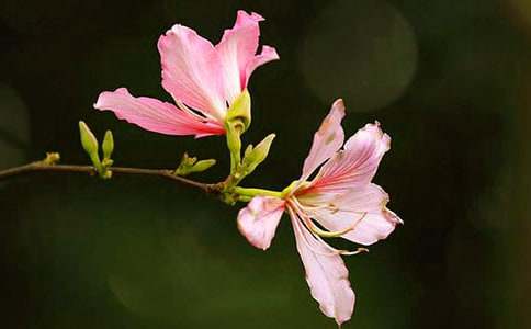 ��������G������