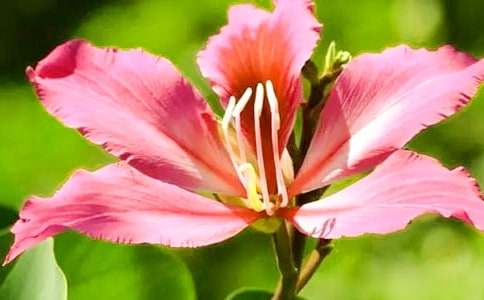 ���G���_�şo����