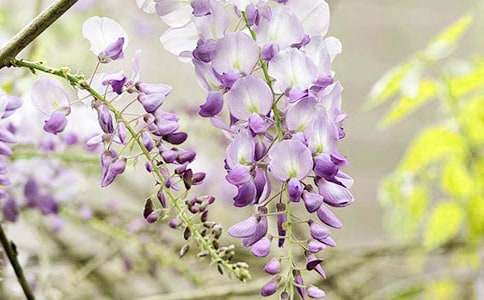 ���ٻ�����15ƪ