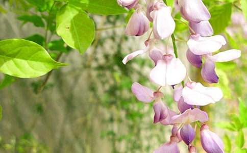  �������ٻ�����400��