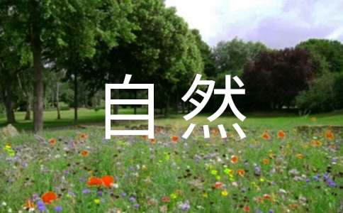 ���o��Ȼ�����ģ�������Ȼ