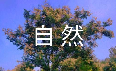 �P�ڴ���Ȼ���V�Z200��