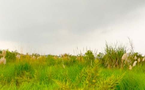 �P�ں��C���������M���C�Ĵ���