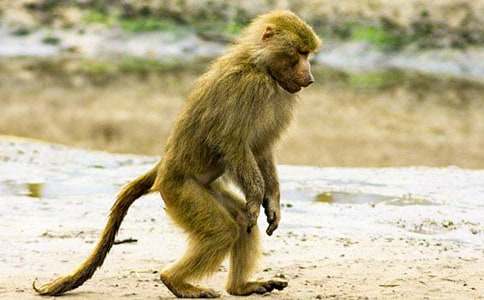 �{�~������Ԣ�Թ���