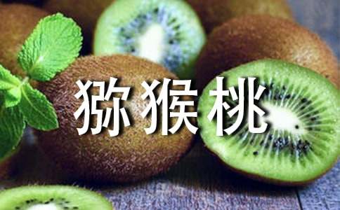 獼猴桃的作文400字(精選16篇)