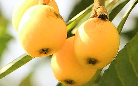 ���˘�����400��9ƪ