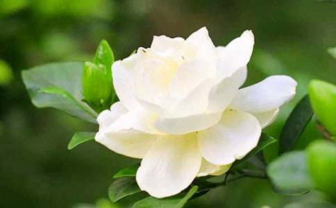 ���d�ӻ��_����