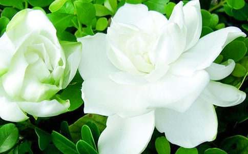 �d�ӻ��_����600����ƪ