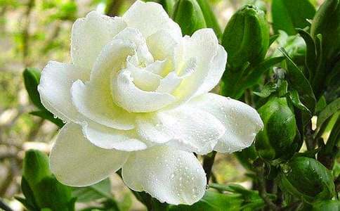 ��ӛ����̎�ėd�ӻ���������