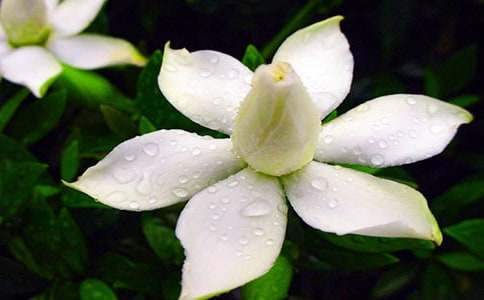 �d�ӻ��^������