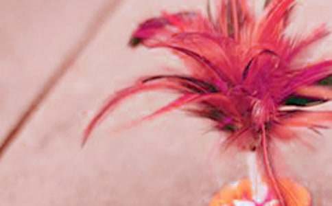 毽球高手寫人的作文700字