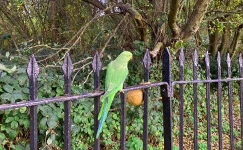 ���x�W�^�~����10ƪ