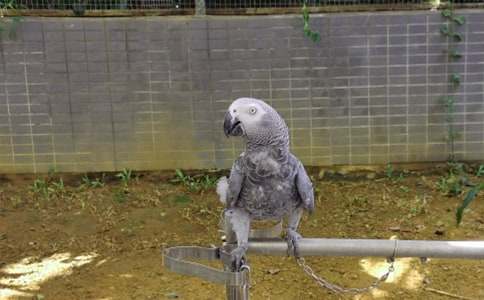 �W�^�~���ąR����ƪ