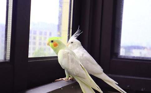 �W�^�~����400��27ƪ