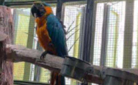 �����]���W�^�~����22ƪ