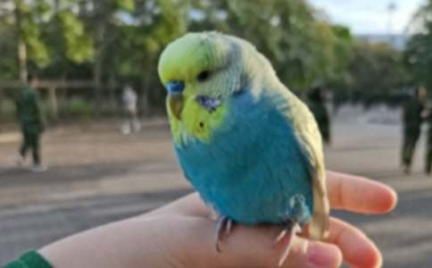 �W�^�~���ąR��7ƪ