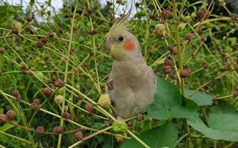 �W�^�~���ąR����ƪ