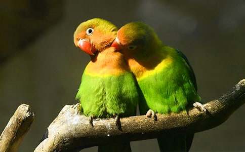 �����T���W�^�~������ƪ