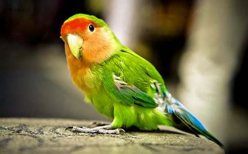 �W�^�~���ąR��5ƪ