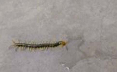 �ְֱ����ҧ�����꼉����