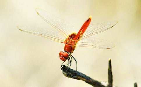 �^����������300�֣����x7ƪ��