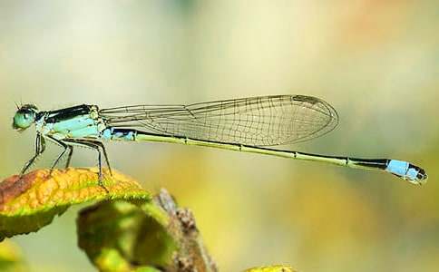 �S����������ͯԒ���ģ�ͨ��6ƪ��