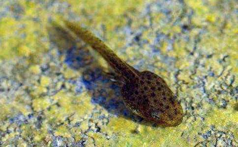 �����á��������300����ƪ