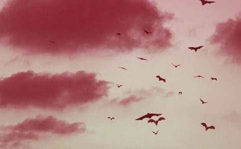 2016���꼉�σԵ�����Ԫ�������������