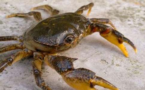 ���P׽�з������