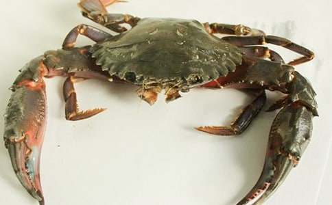 �^���з������