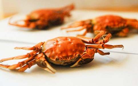 �^���з��250��������ƪ