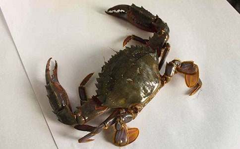 С�W�з����