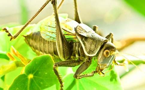 ���P������600�֣����x59ƪ��