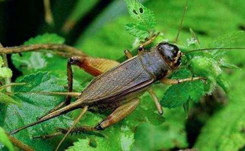 �^��������1000��