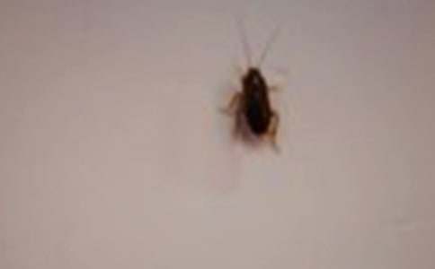 �����T=���_550��